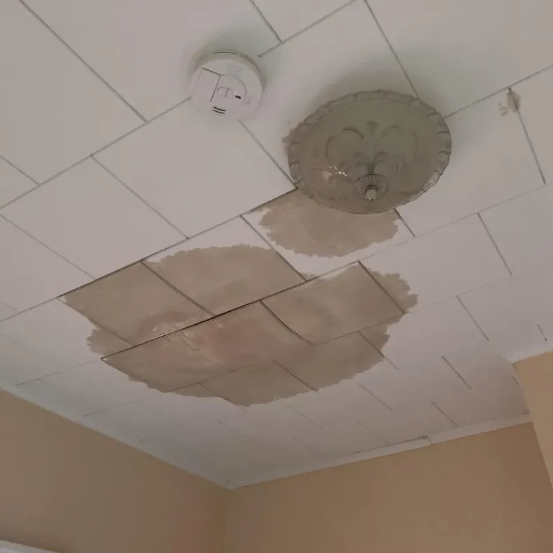 Ceiling Water Damage Repair in New Boston, OH