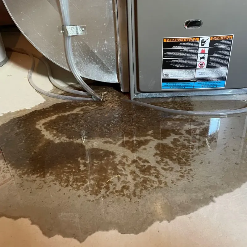 Pipe Burst and Leak Restoration in New Boston, OH