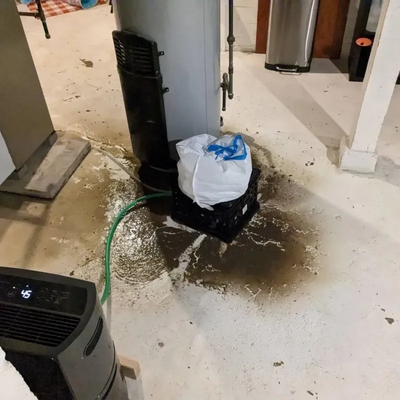 Sewage Backup Cleanup Service in New Boston, OH